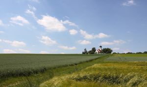 Kirche St. Wolfgang bei Landshut inmitten grüner Weizenfelder
